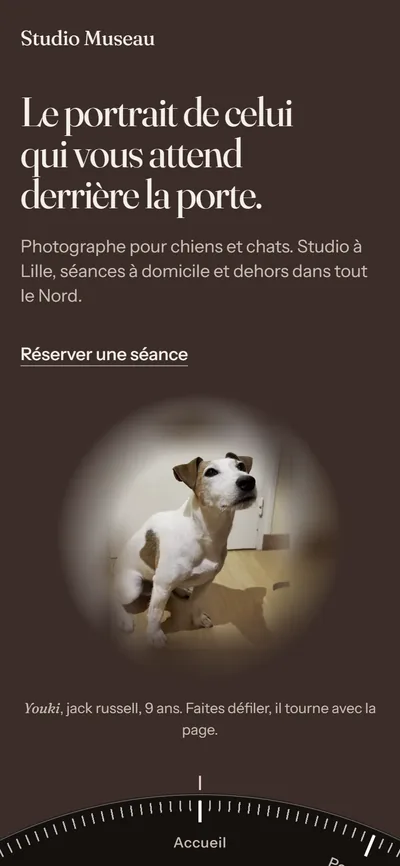 Studio Museau : la même page sur téléphone